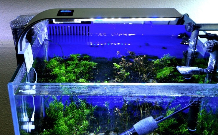 High Power Aquatic Lighting Fish Tank Aquarium Lamp