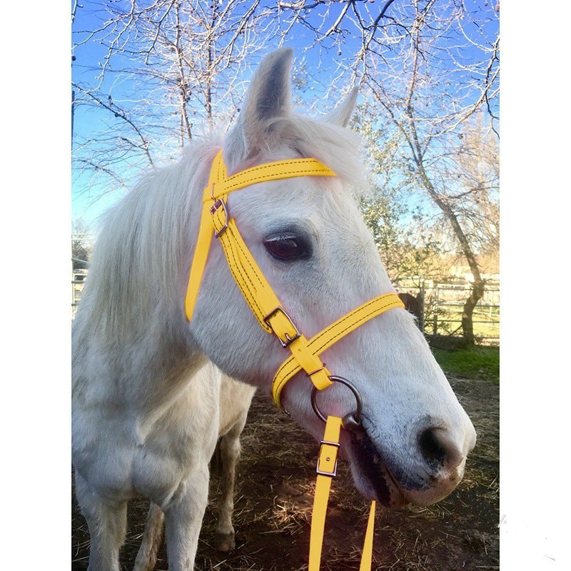 Amazon Wish New Product Cross-border Source Horse Rein Horse bridle